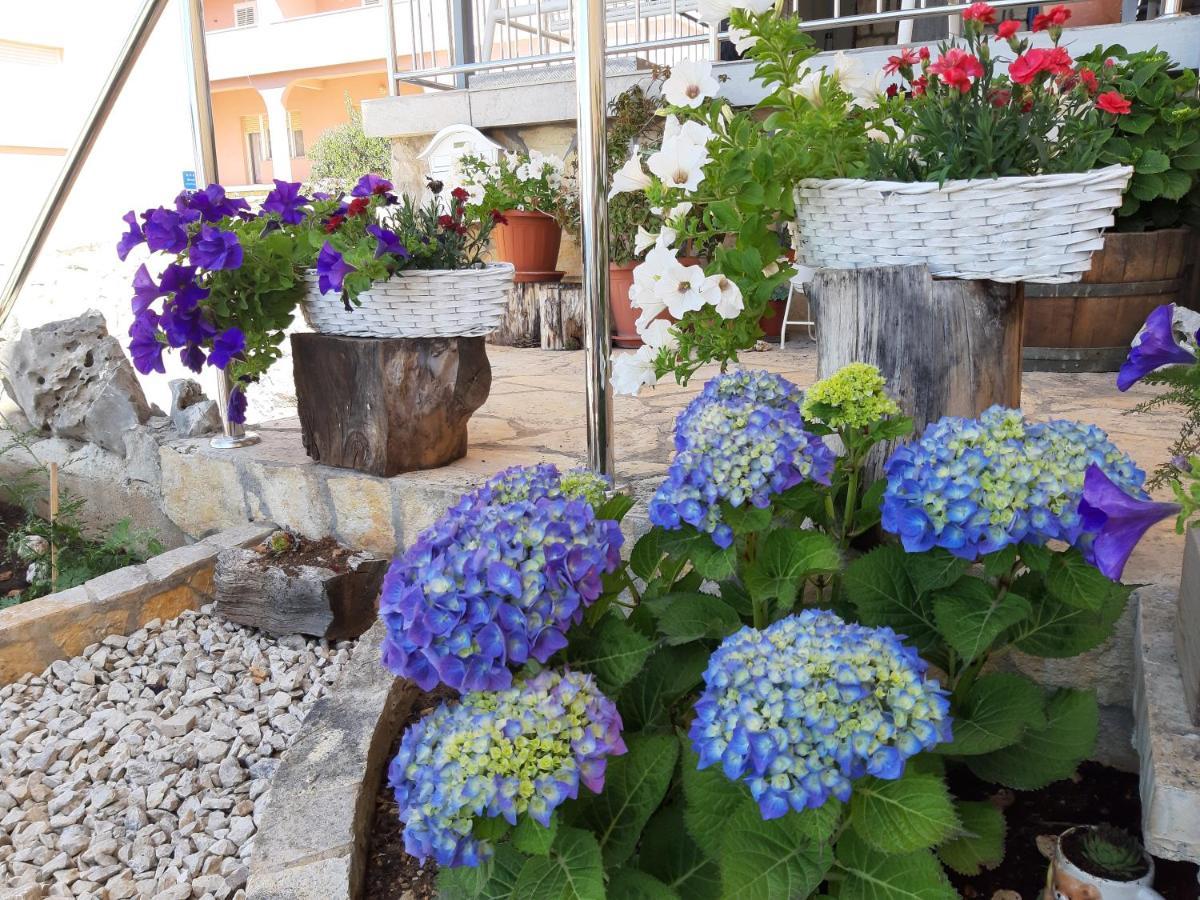 Apartament Kovacevic