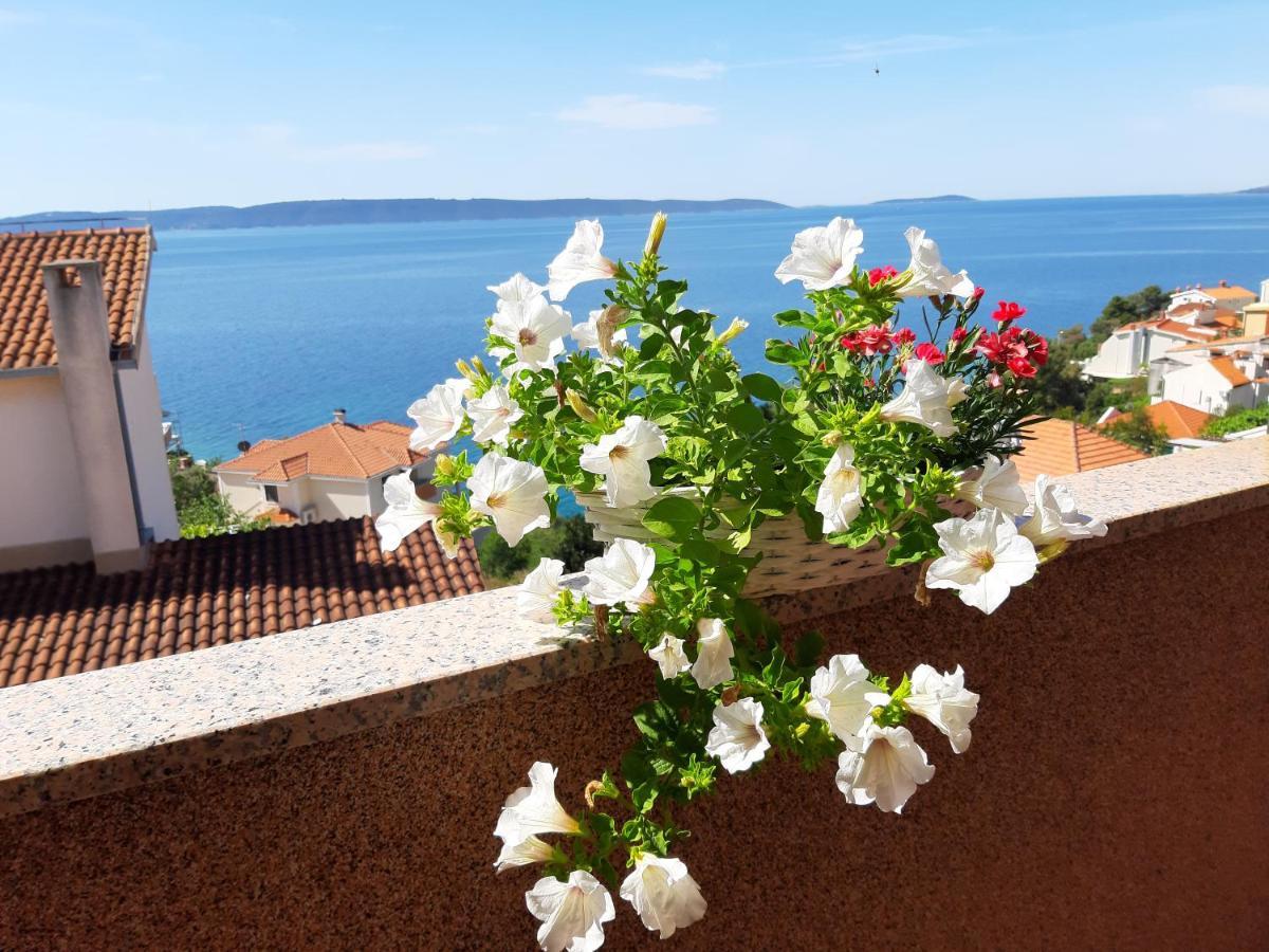 Kovacevic Apartament